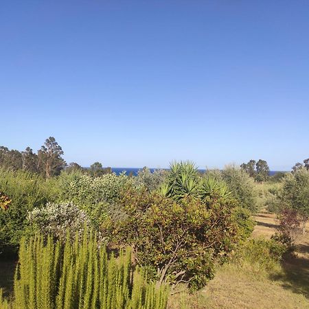Sa Teria Village - Appartamenti - Tertenìa 外观 照片