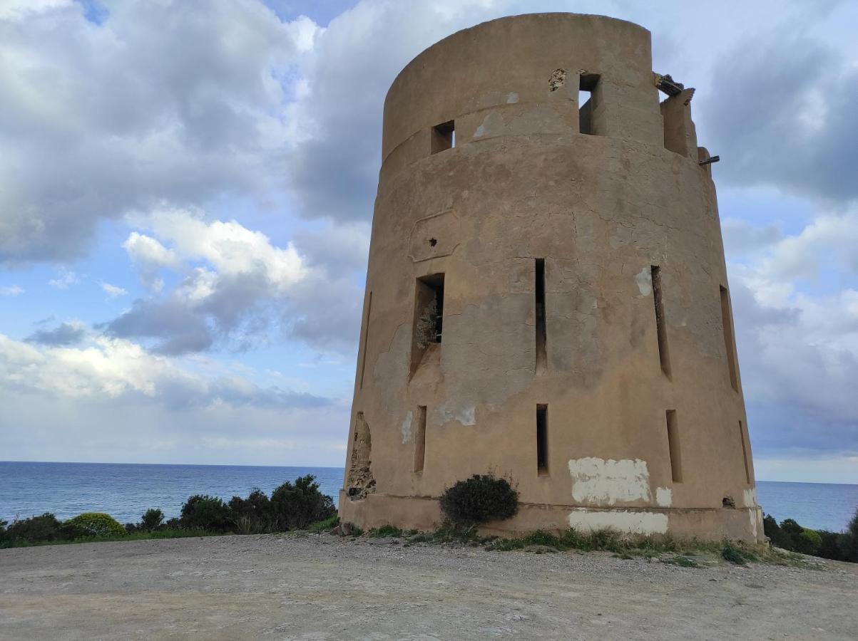 Sa Teria Village - Appartamenti - Tertenìa 外观 照片