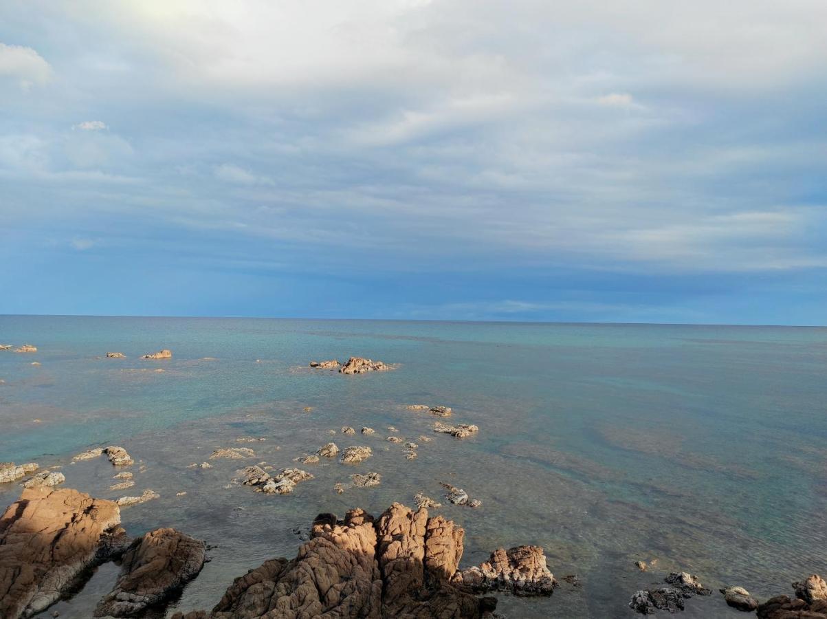 Sa Teria Village - Appartamenti - Tertenìa 外观 照片