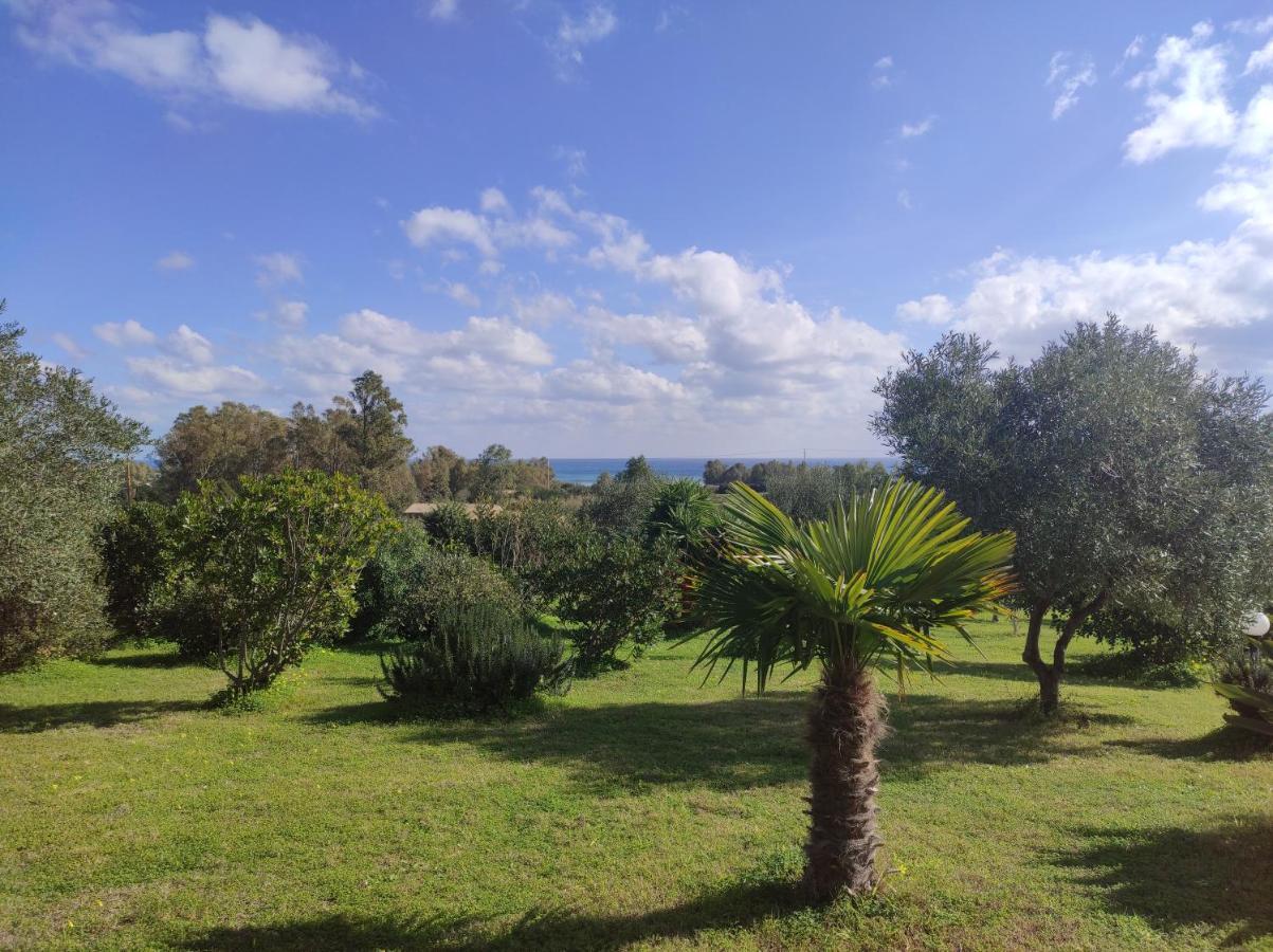 Sa Teria Village - Appartamenti - Tertenìa 外观 照片