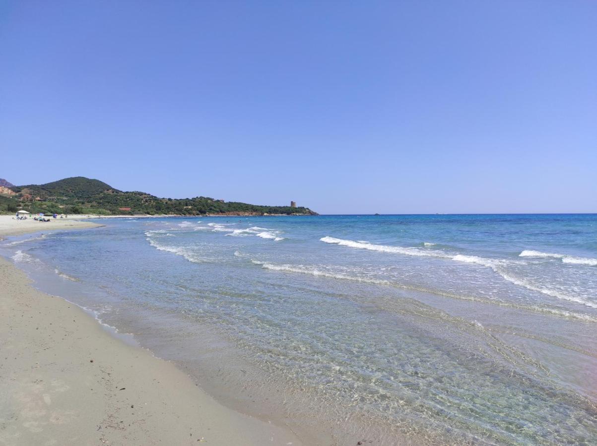 Sa Teria Village - Appartamenti - Tertenìa 外观 照片