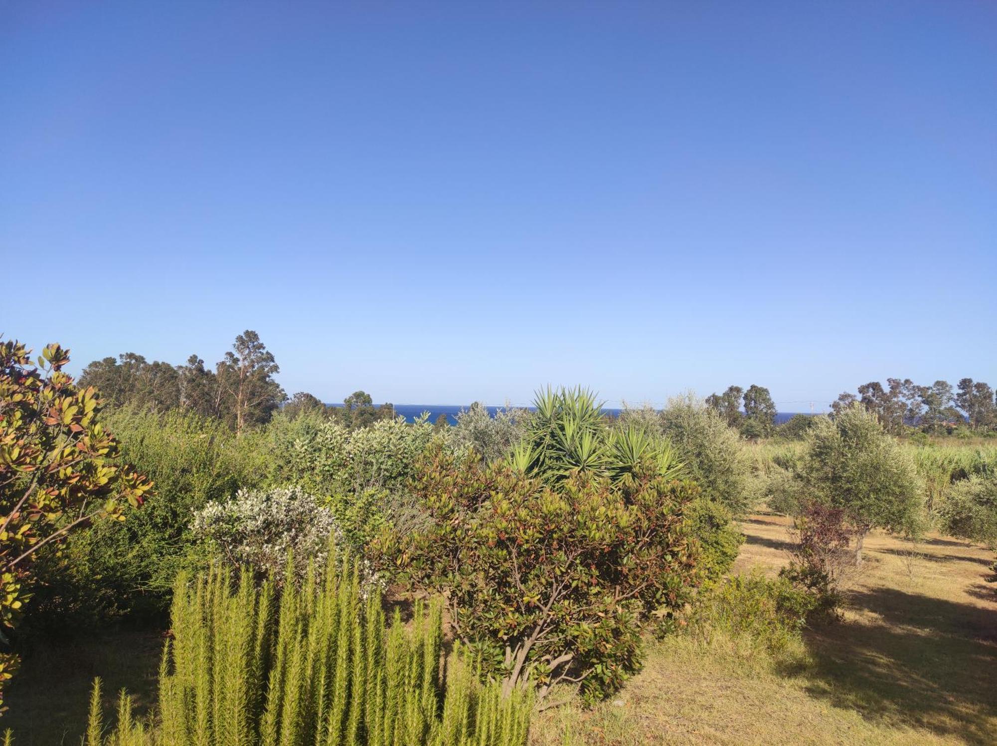 Sa Teria Village - Appartamenti - Tertenìa 外观 照片