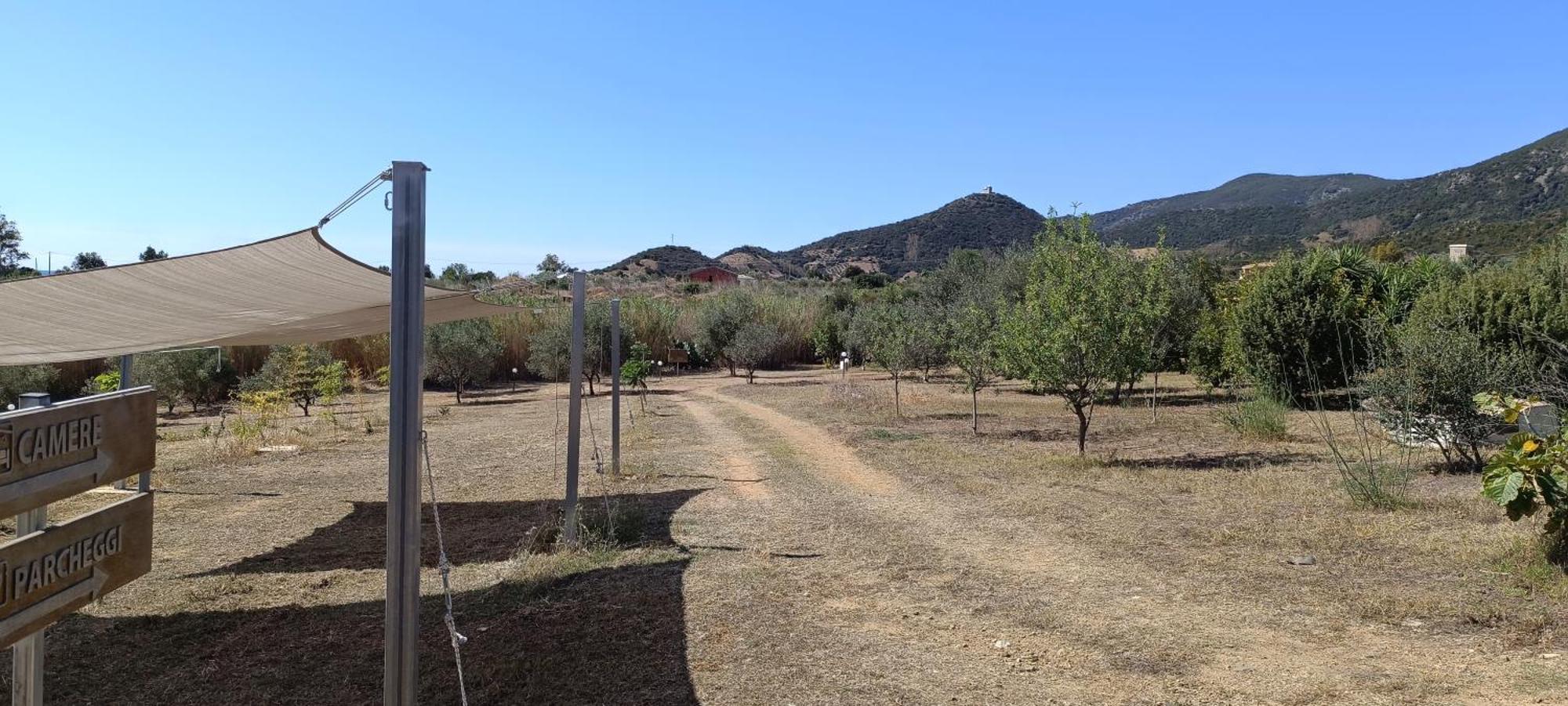 Sa Teria Village - Appartamenti - Tertenìa 外观 照片