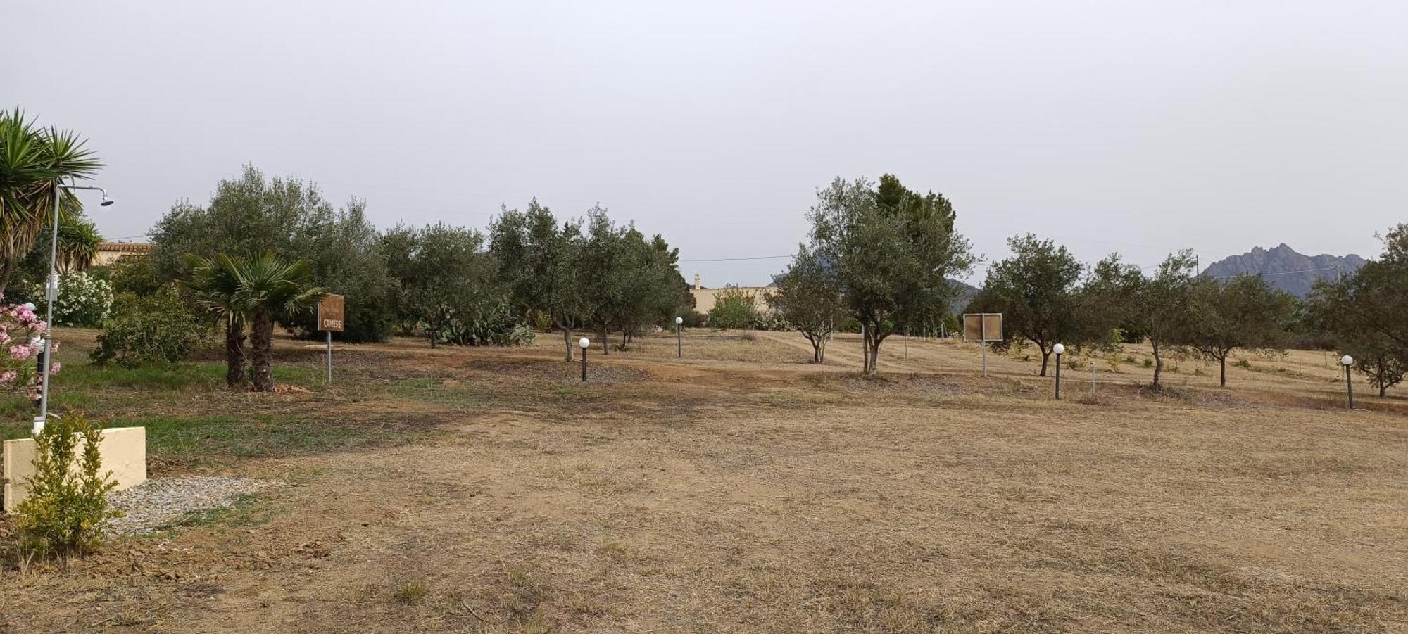 Sa Teria Village - Appartamenti - Tertenìa 外观 照片