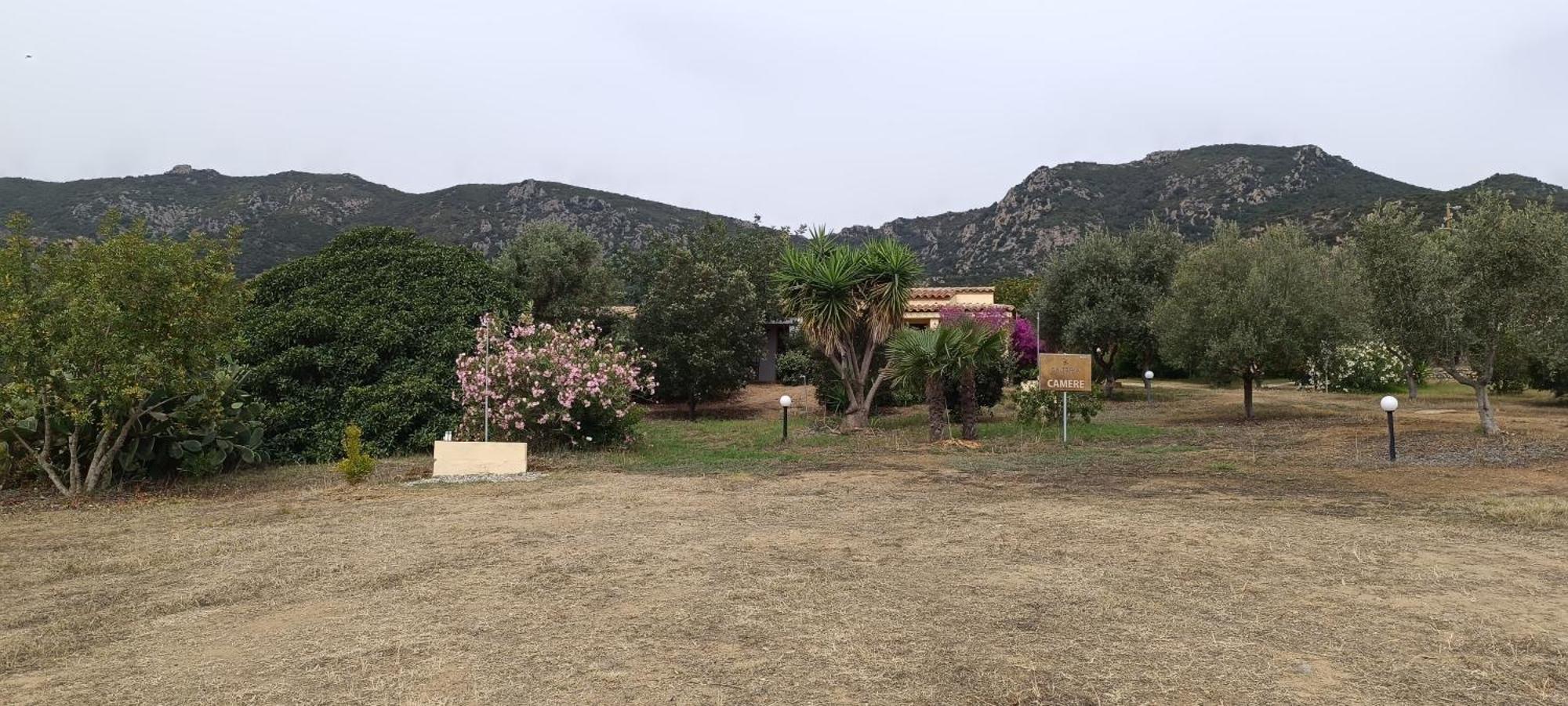 Sa Teria Village - Appartamenti - Tertenìa 外观 照片