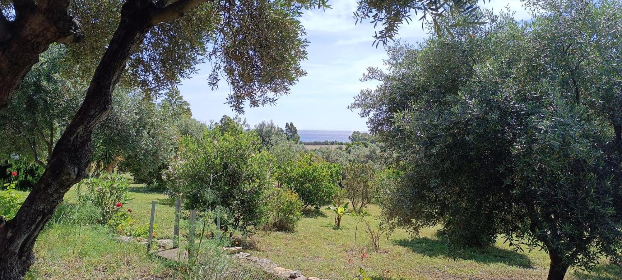 Sa Teria Village - Appartamenti - Tertenìa 外观 照片
