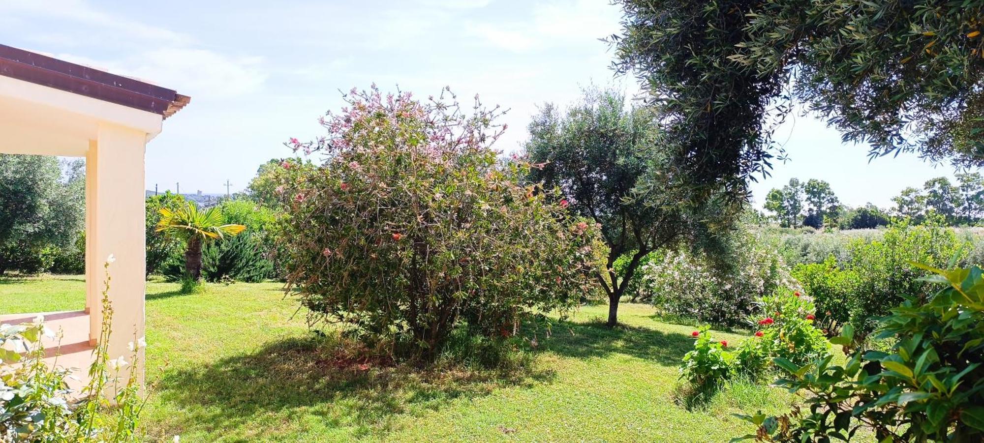 Sa Teria Village - Appartamenti - Tertenìa 外观 照片