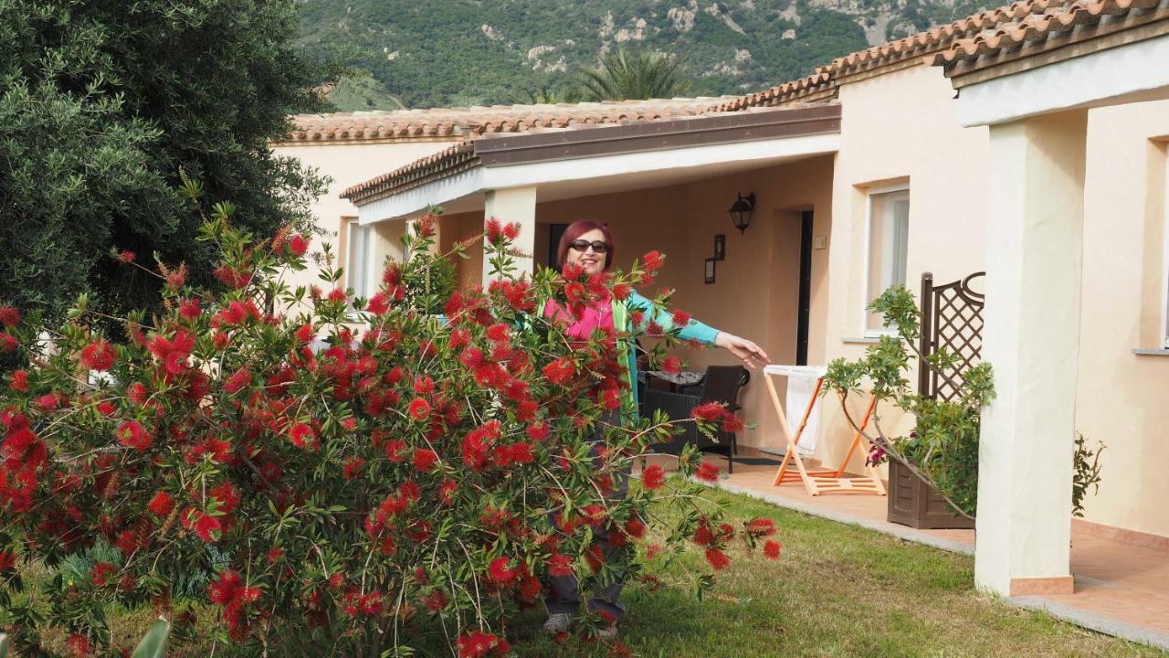 Sa Teria Village - Appartamenti - Tertenìa 外观 照片