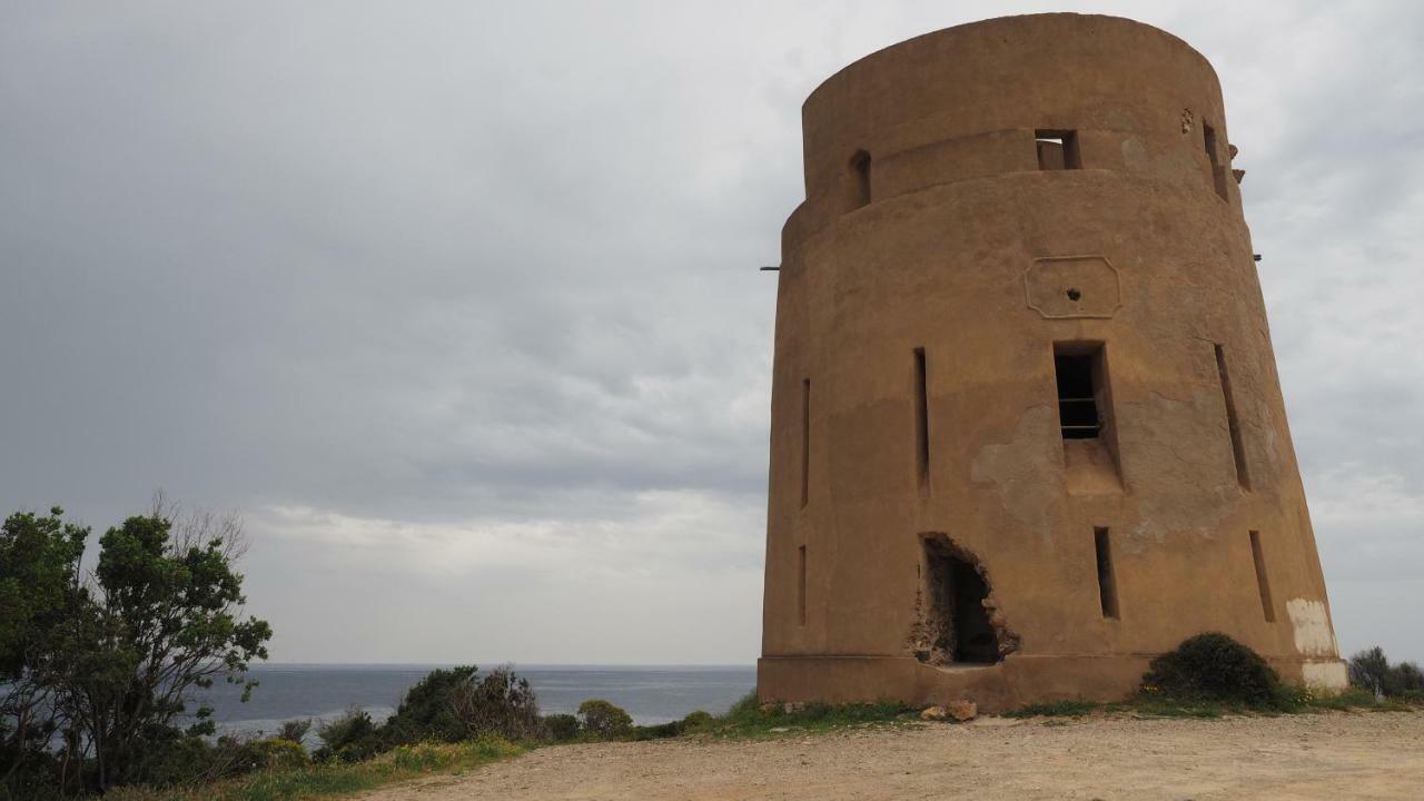 Sa Teria Village - Appartamenti - Tertenìa 外观 照片