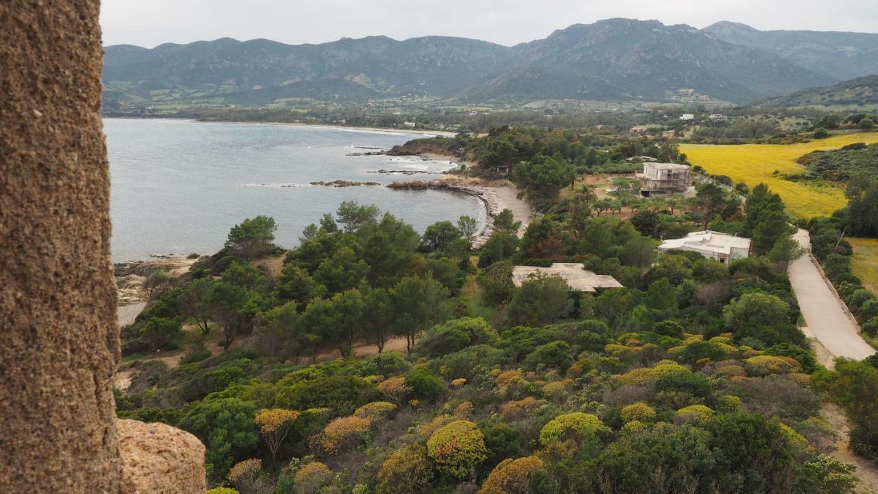 Sa Teria Village - Appartamenti - Tertenìa 外观 照片
