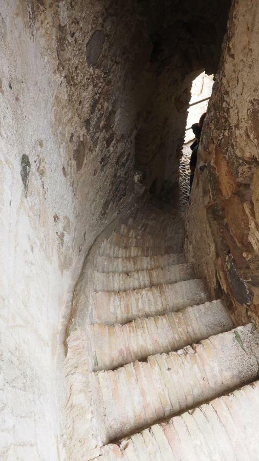 Sa Teria Village - Appartamenti - Tertenìa 外观 照片