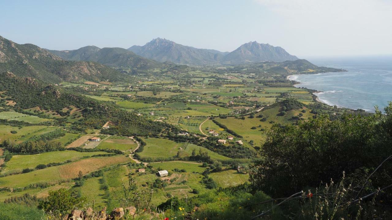 Sa Teria Village - Appartamenti - Tertenìa 外观 照片
