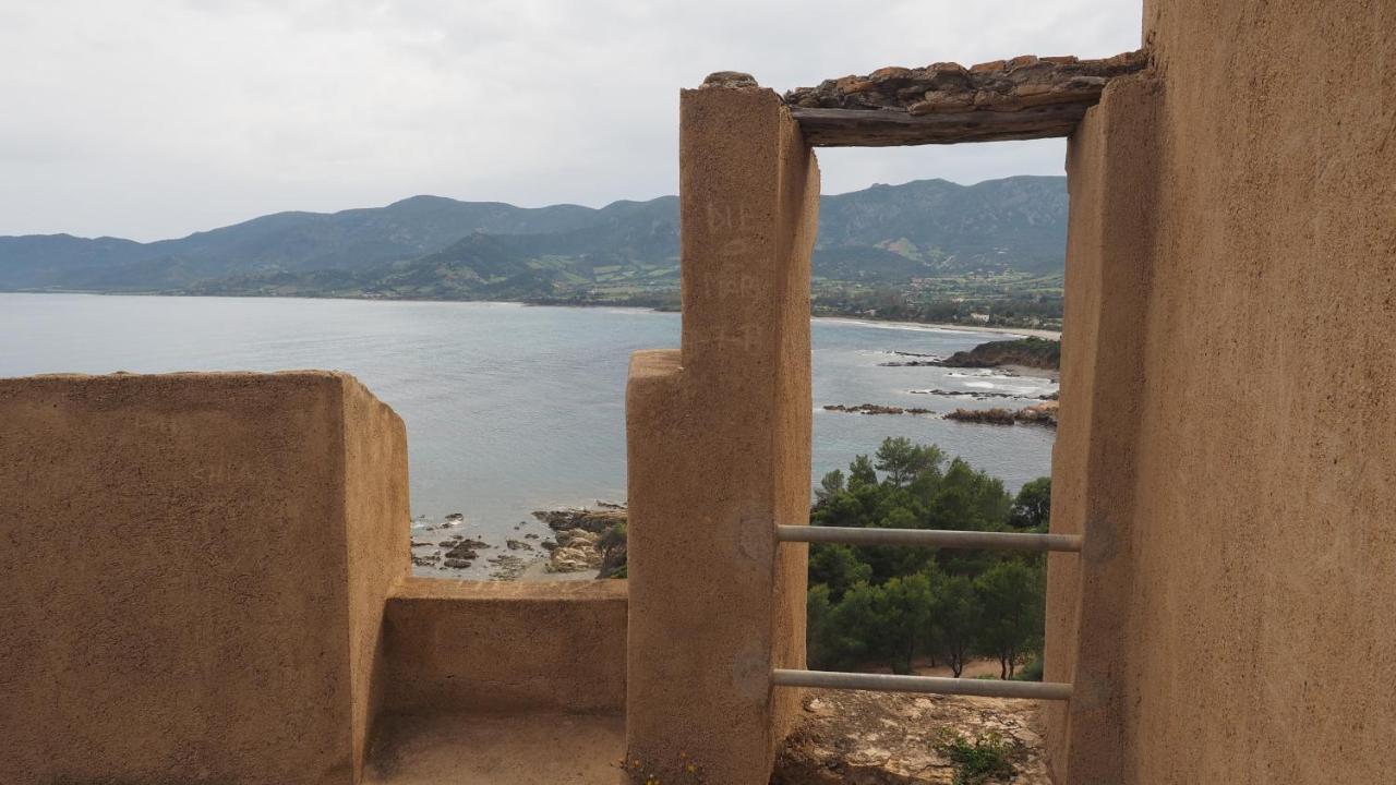 Sa Teria Village - Appartamenti - Tertenìa 外观 照片